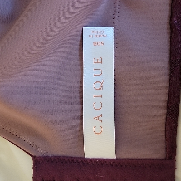 Lane Bryant Bra - Picture 5 of 5